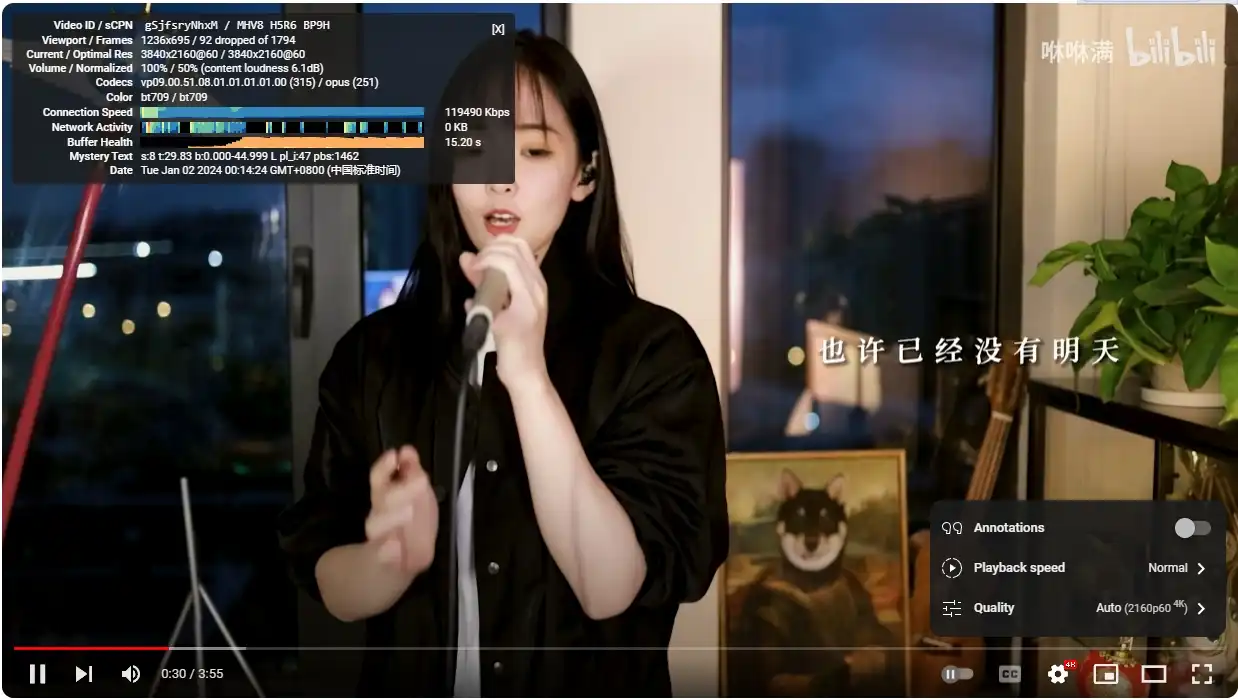 YouTube 4K